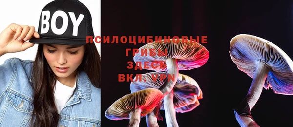 MESCALINE Богородск
