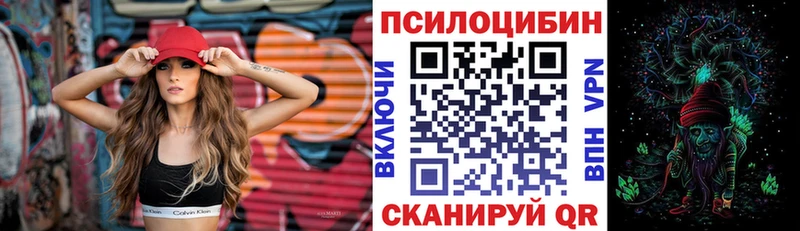 Галлюциногенные грибы Cubensis Верхняя Тура